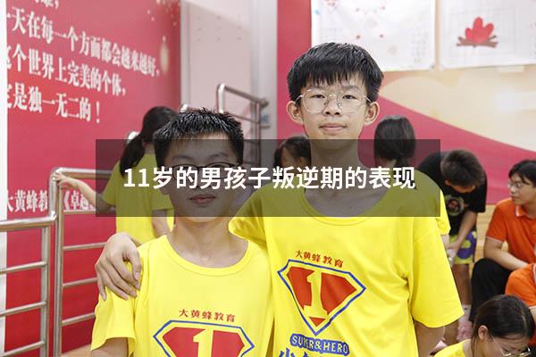 11岁的男孩子叛逆期的表现