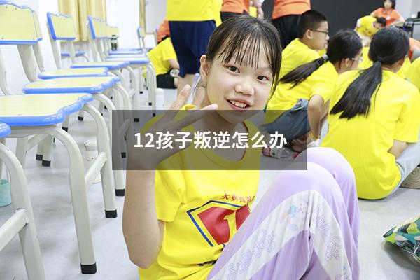 12孩子叛逆怎么办（孩子12岁叛逆期怎么办）