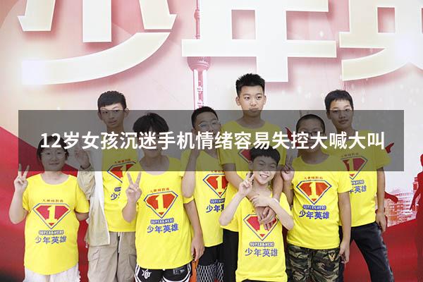 12岁女孩沉迷手机情绪容易失控大喊大叫（12岁女孩沉迷手机怎么办）