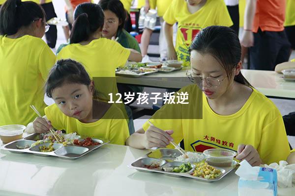 12岁孩子叛逆