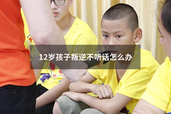 12岁孩子叛逆不听话怎么办（12岁的孩子不听话怎么办）