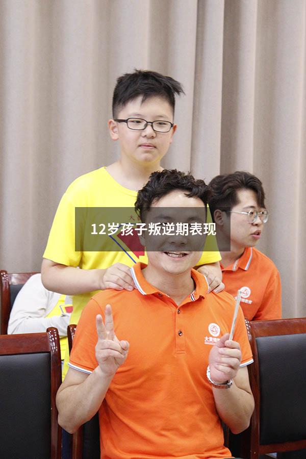 12岁孩子叛逆期表现
