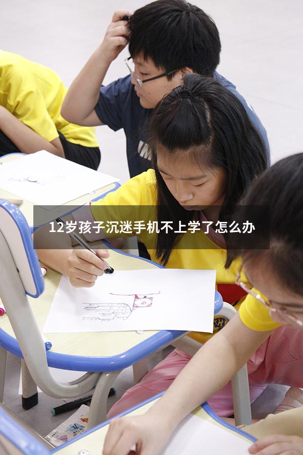 12岁孩子沉迷手机不上学了怎么办（12岁女孩沉迷手机怎么办）