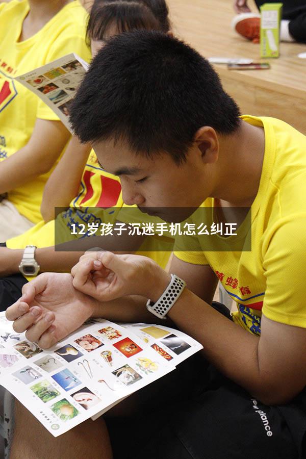 12岁孩子沉迷手机怎么纠正（12岁女孩沉迷手机怎么办）
