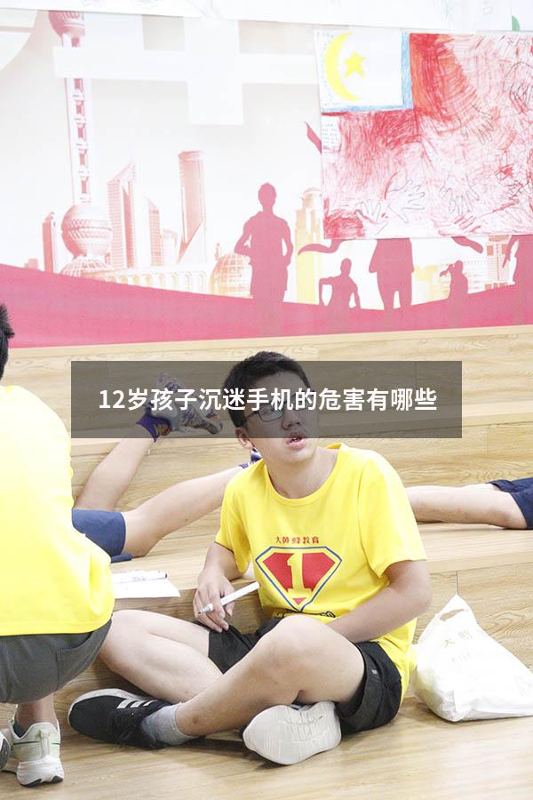 12岁孩子沉迷手机的危害有哪些