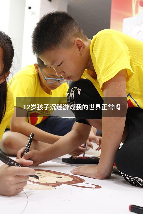 12岁孩子沉迷游戏我的世界正常吗