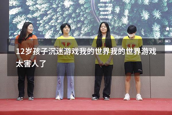12岁孩子沉迷游戏我的世界（我的世界游戏太害人了）