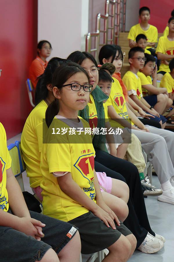 12岁孩子网瘾怎么办