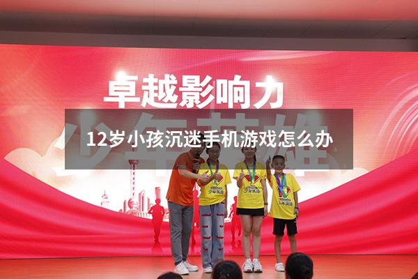 12岁小孩沉迷手机游戏怎么办