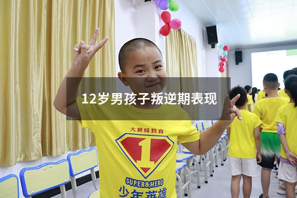 12岁男孩子叛逆期表现（12岁进入叛逆期了吗）