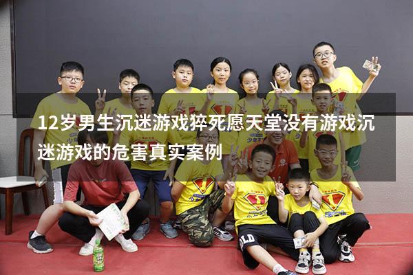 12岁男生沉迷游戏猝死愿天堂没有游戏（沉迷游戏的危害真实案例）