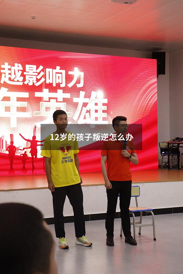 12岁的孩子叛逆怎么办（12岁左右孩子叛逆期怎么开导）