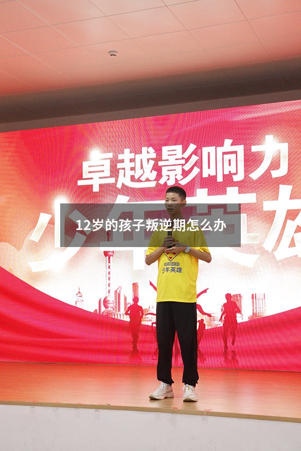 12岁的孩子叛逆期怎么办