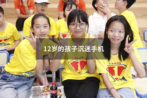 12岁的孩子沉迷手机（孩子总沉迷手机怎么办）