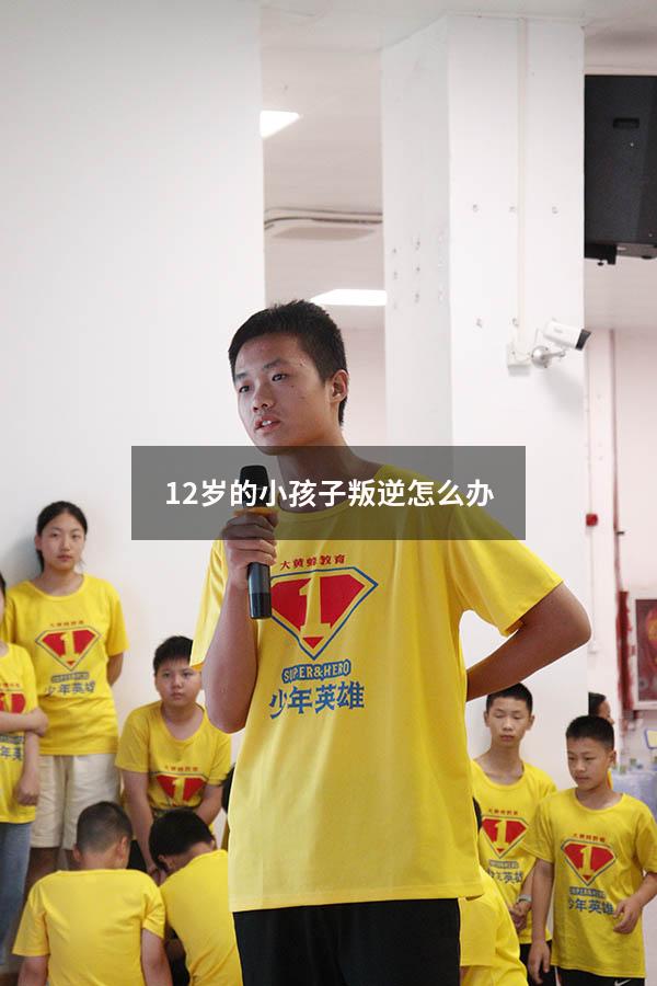 12岁的小孩子叛逆怎么办（12岁女孩心理教育方法）