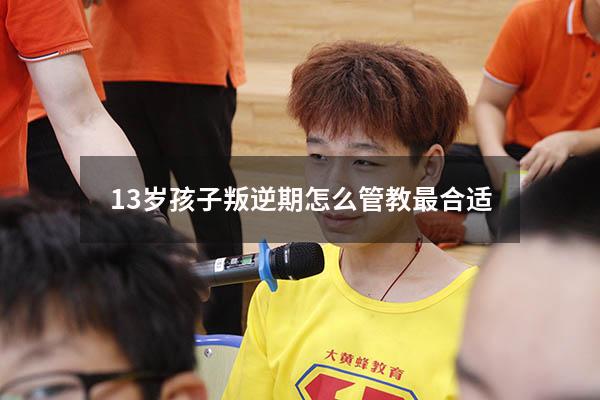 13岁孩子叛逆期怎么管教最合适（13岁孩子情绪低落怎么解决）