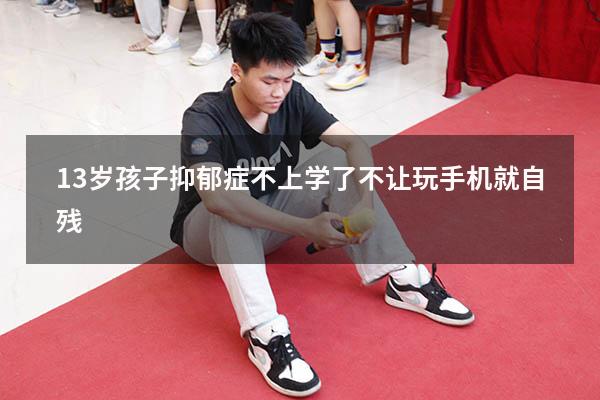 13岁孩子抑郁症不上学了不让玩手机就自残
