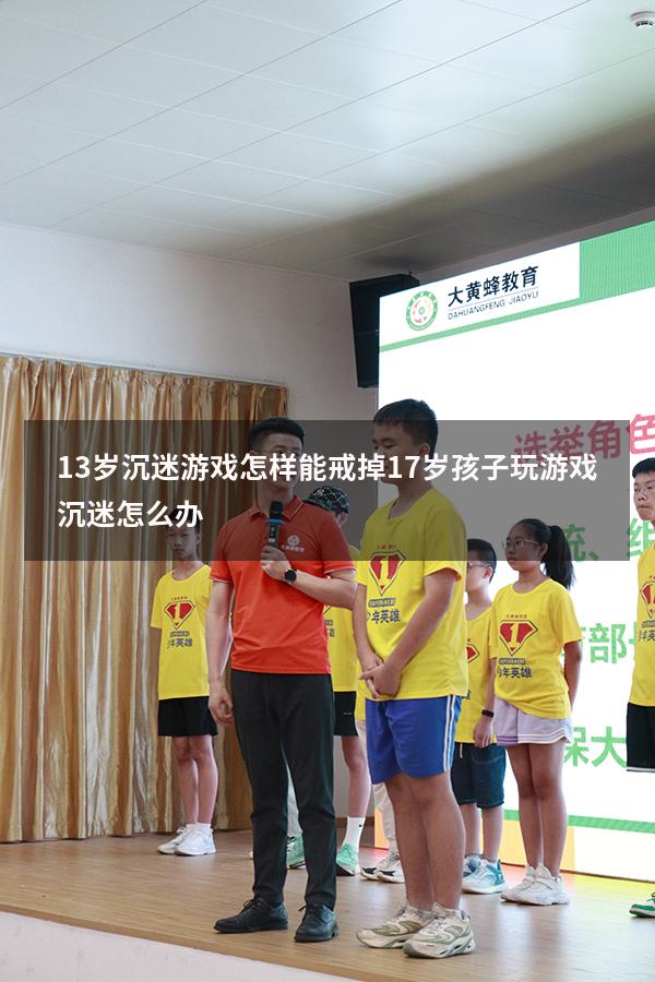 13岁沉迷游戏怎样能戒掉（17岁孩子玩游戏沉迷怎么办）