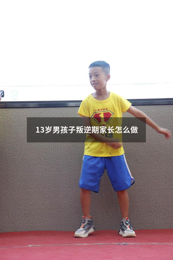13岁男孩子叛逆期家长怎么做
