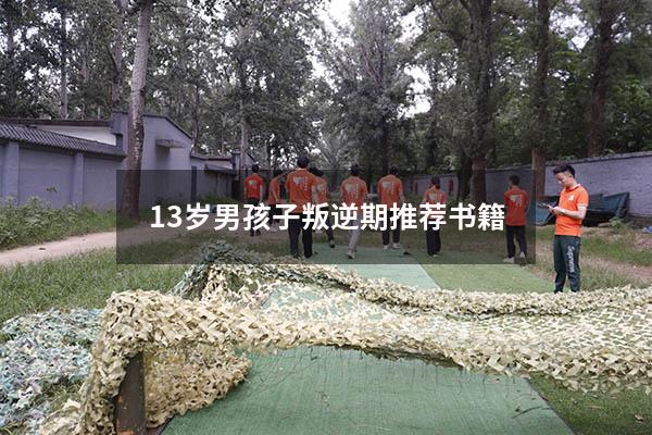 13岁男孩子叛逆期推荐书籍（13岁孩子叛逆期表现）