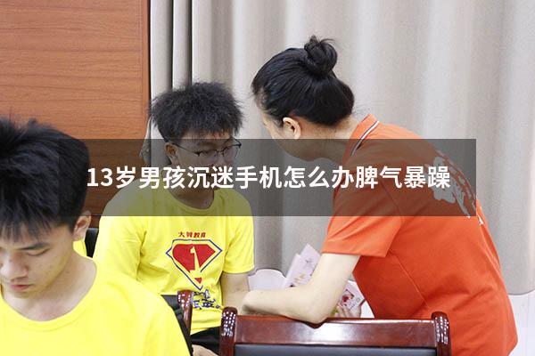 13岁男孩沉迷手机怎么办脾气暴躁