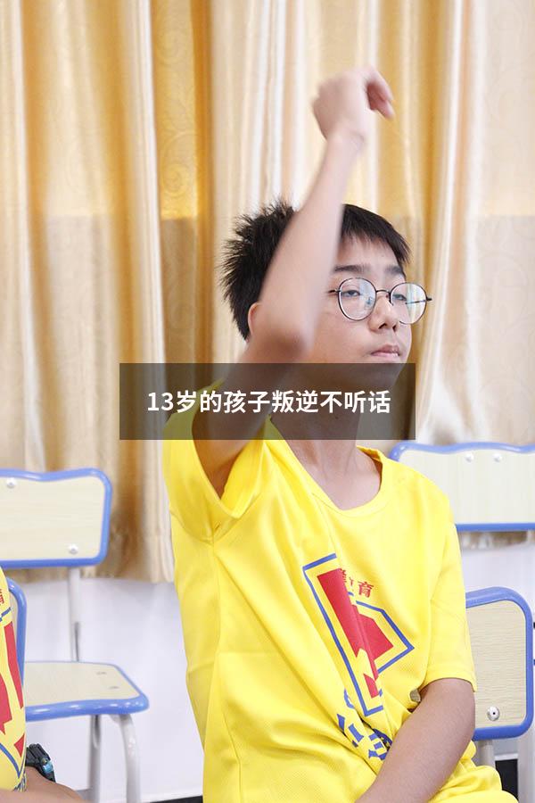 13岁的孩子叛逆不听话（儿子13岁特别叛逆怎么教育）
