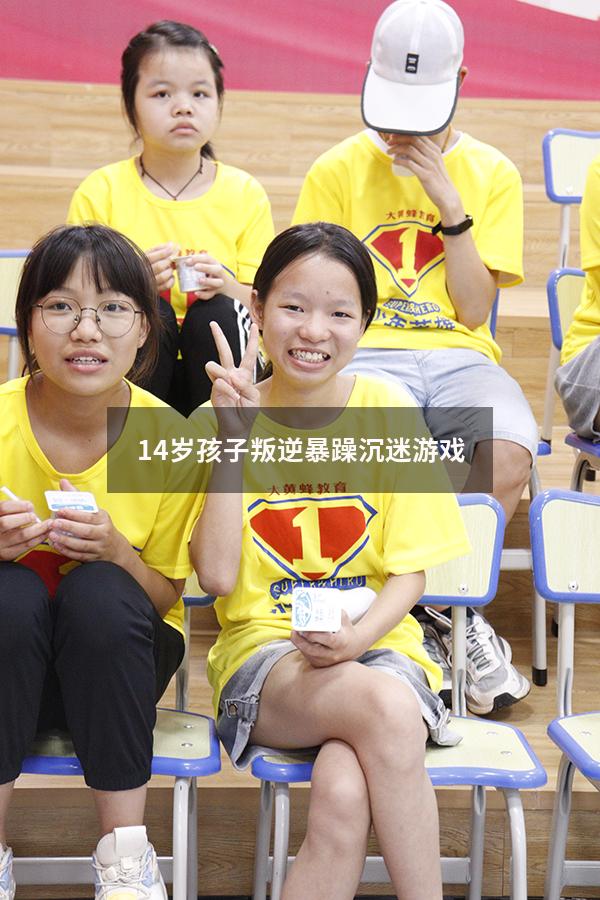 14岁孩子叛逆暴躁沉迷游戏（孩子叛逆期沉迷游戏怎么管教最合适）