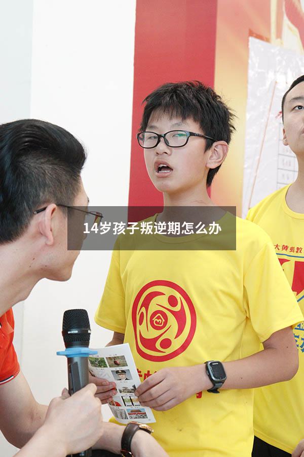 14岁孩子叛逆期怎么办