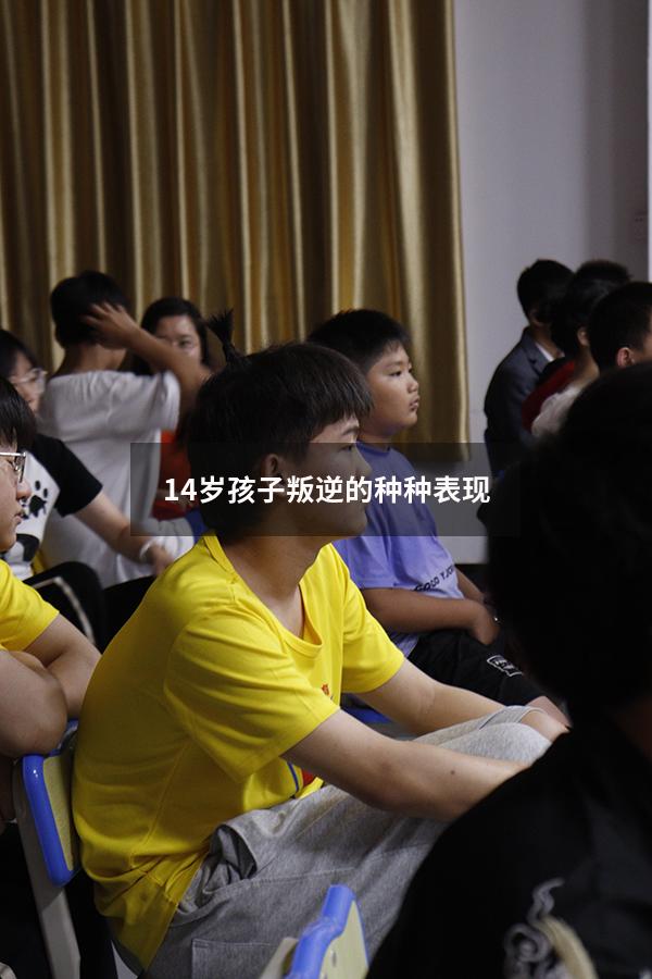 14岁孩子叛逆的种种表现