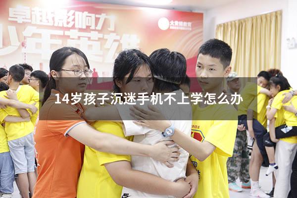 14岁孩子沉迷手机不上学怎么办