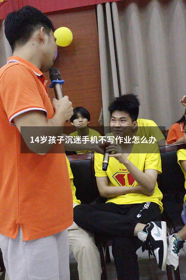 14岁孩子沉迷手机不写作业怎么办