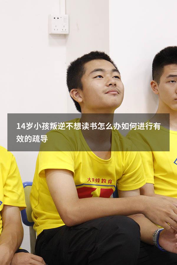 14岁小孩叛逆不想读书怎么办，如何进行有效的疏导？（孩子青春期叛逆不想上学怎么办）