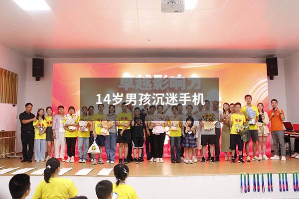 14岁男孩沉迷手机（15岁孩子沉迷手机怎么办）
