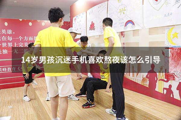 14岁男孩沉迷手机喜欢熬夜该怎么引导（孩子沉迷手机怎么引导）