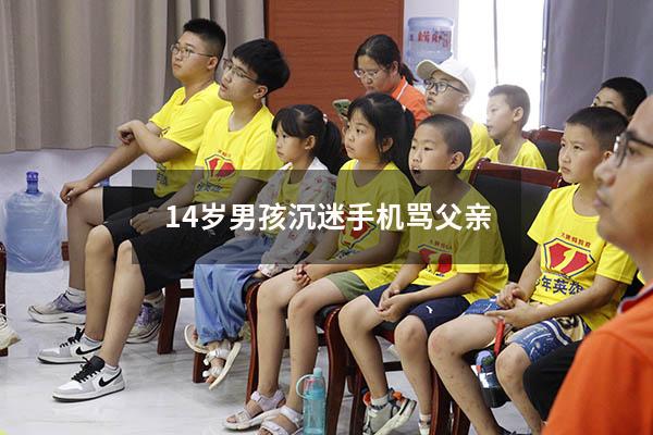 14岁男孩沉迷手机骂父亲（16岁的孩子打骂父母怎么办）