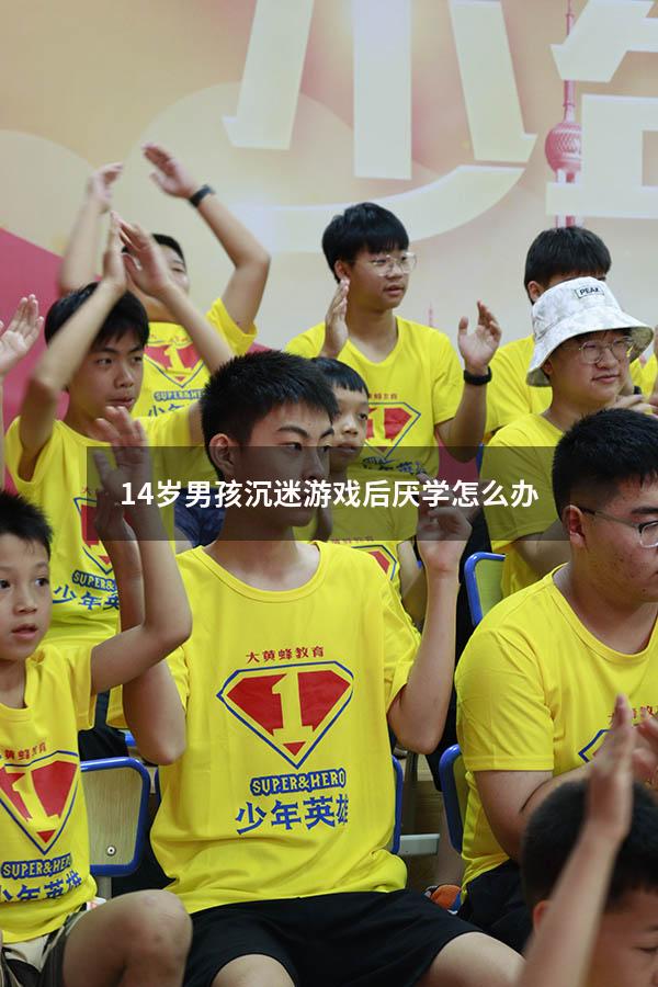 14岁男孩沉迷游戏后厌学怎么办