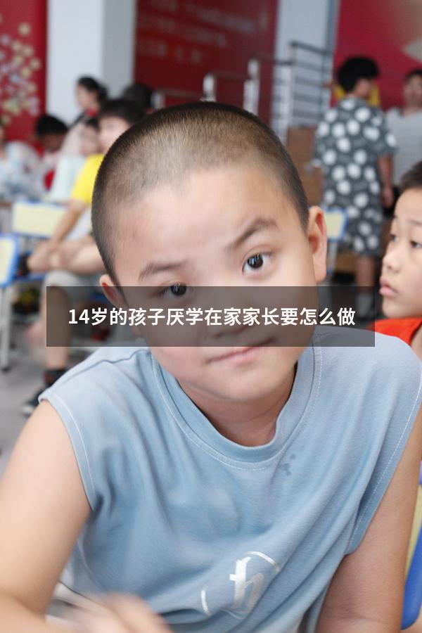 14岁的孩子厌学在家家长要怎么做