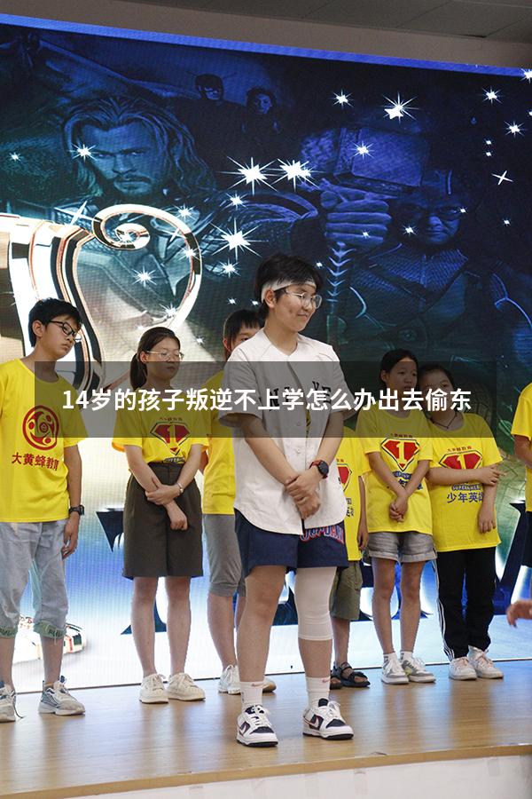 14岁的孩子叛逆不上学怎么办出去偷东（13岁叛逆不上学怎么办）