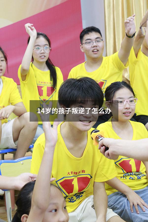 14岁的孩子叛逆了怎么办（孩子十四岁了非常叛逆怎么办）