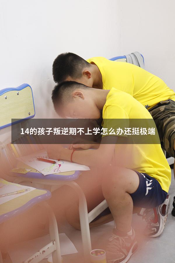 14的孩子叛逆期不上学怎么办还挺极端（13岁叛逆不上学怎么办）