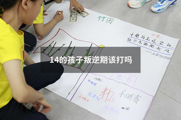 14的孩子叛逆期该打吗