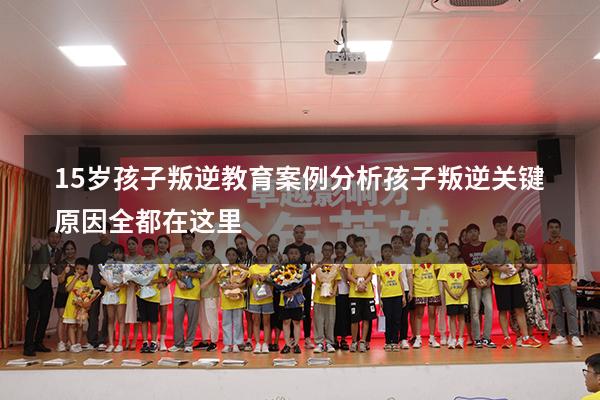 15岁孩子叛逆教育案例分析，孩子叛逆关键原因全都在这里（初中学生叛逆期的案例）