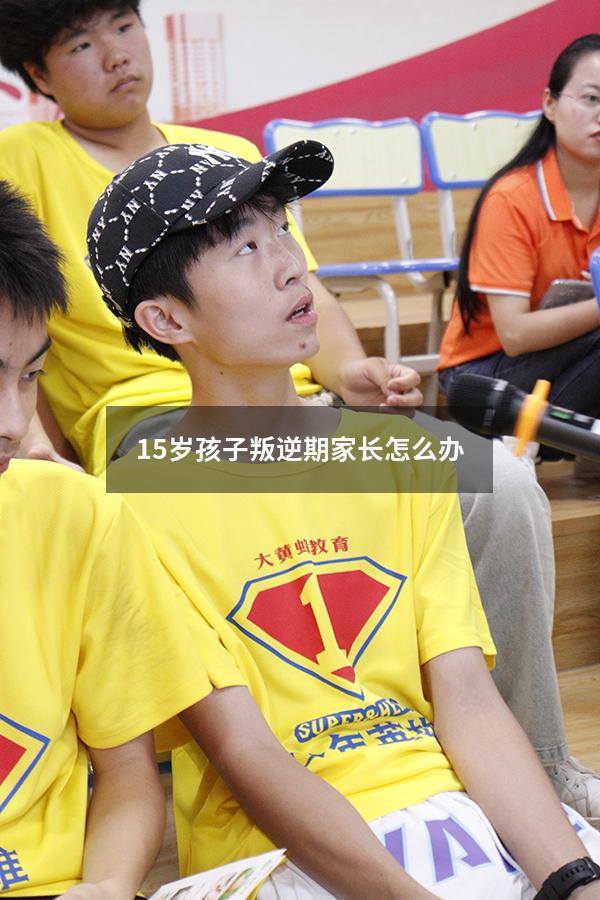 15岁孩子叛逆期家长怎么办（15岁孩子叛逆期家长怎么做）