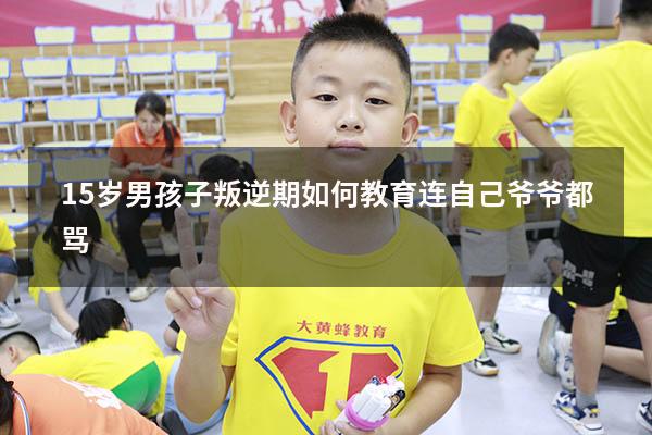 15岁男孩子叛逆期如何教育连自己爷爷都骂