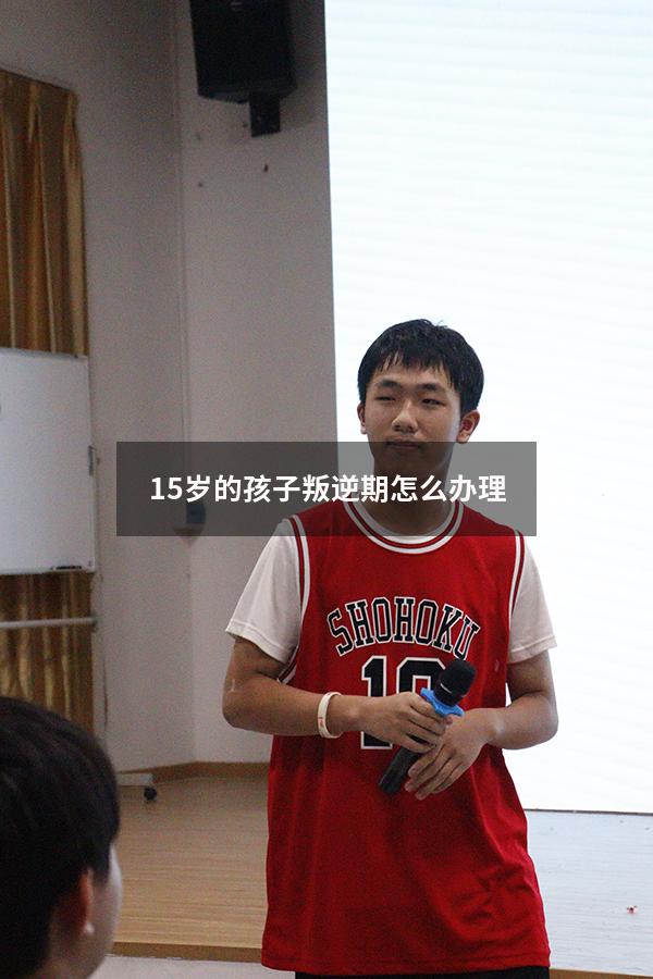 15岁的孩子叛逆期怎么办理