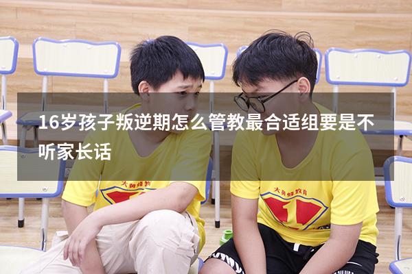 16岁孩子叛逆期怎么管教最合适组要是不听家长话