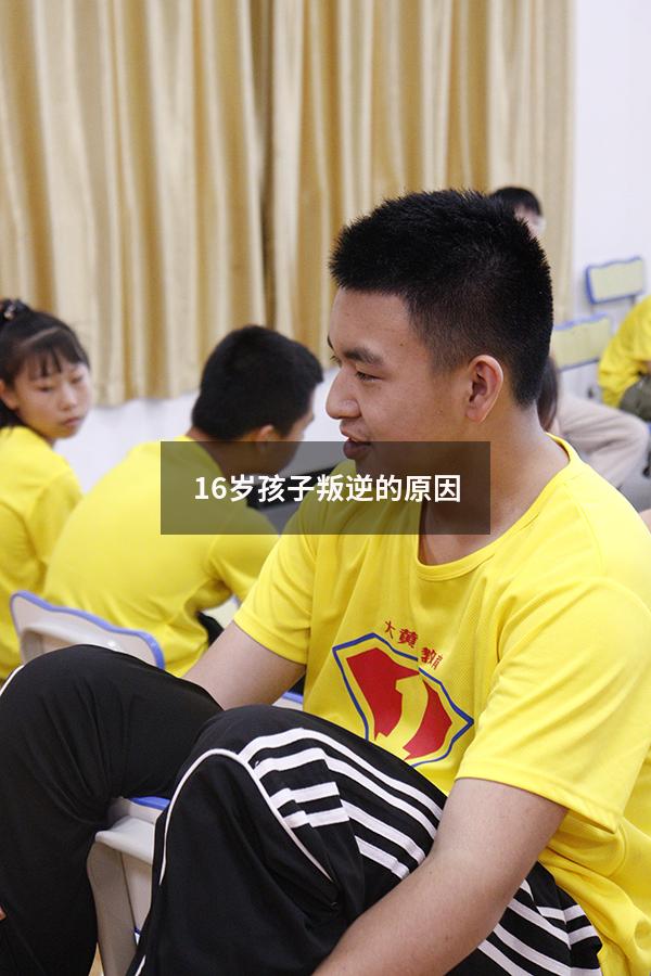 16岁孩子叛逆的原因（16岁叛逆期的孩子是什么原因）