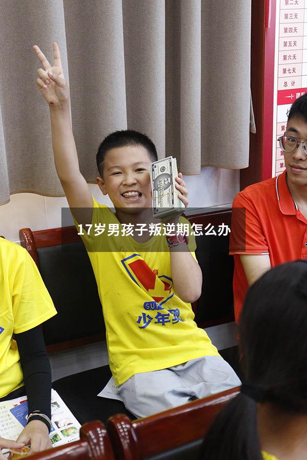 17岁男孩子叛逆期怎么办（17岁的孩子叛逆期怎么教育）