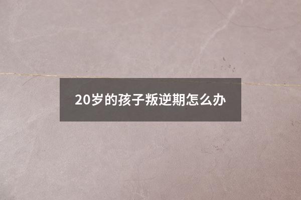 20岁的孩子叛逆期怎么办（二十四岁的儿子叛逆怎么办）