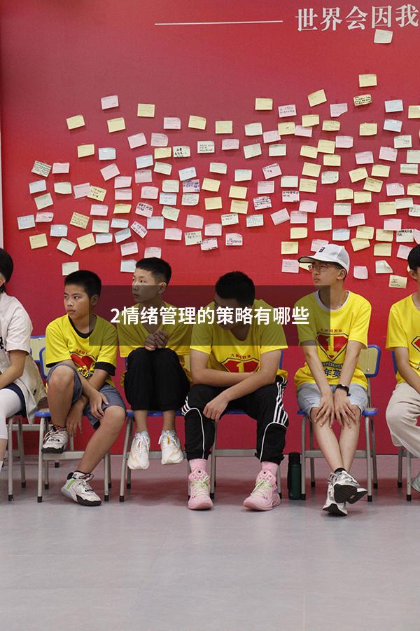 2、情绪管理的策略有哪些